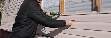 Best Siding Painting and Refinishing  in Mountain City, GA